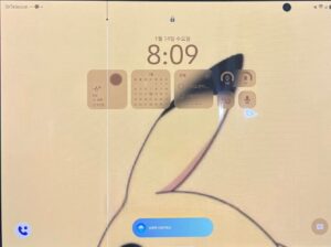 trifold-broken-display-1