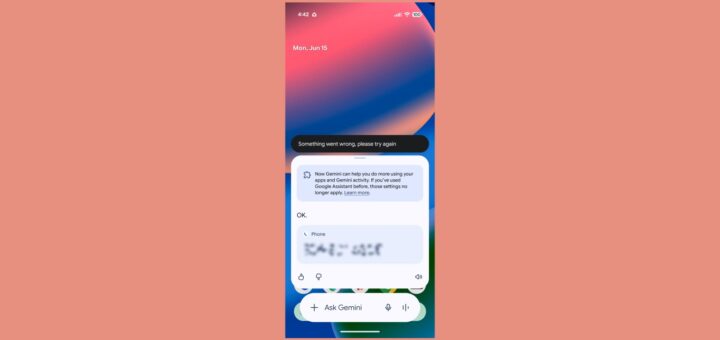 Gemini call error
